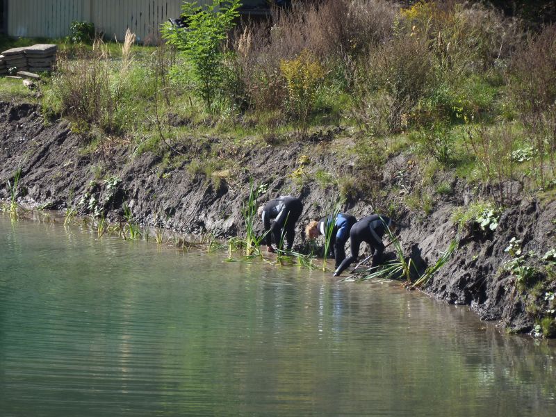 015 Beachcleanup 2013