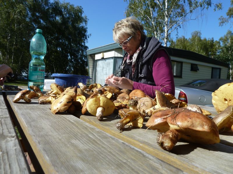 002 Klubwochenende Helenesee 2013 cTW