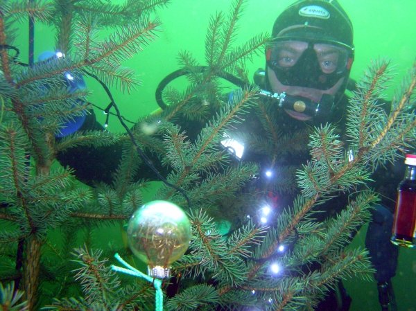 phoca_thumb_l_95_Weihnachtstauchen_2010