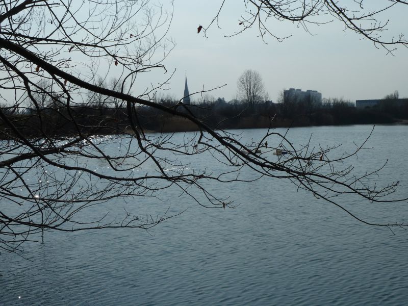 006 Klubtauchen Leuben cTW 2015