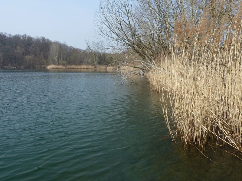 010 Klubtauchen Leuben cTW 2015